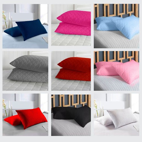 Almohada Ecólogica x2