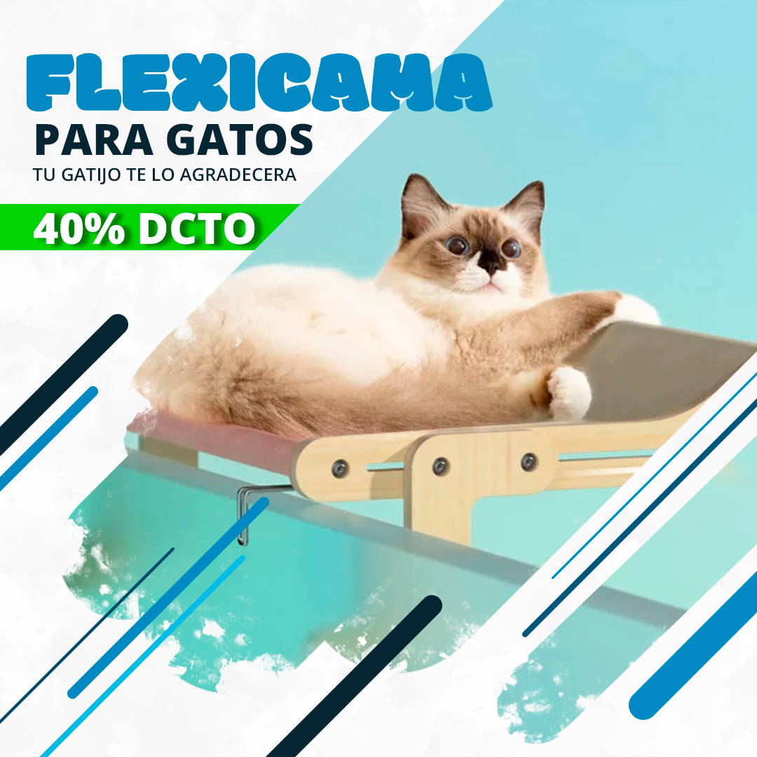 Flexicama para Gato Bedcat®